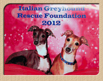 IGCA Rescue Calendar