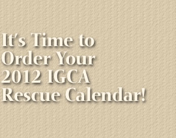 Time to order your IGCA Calendar