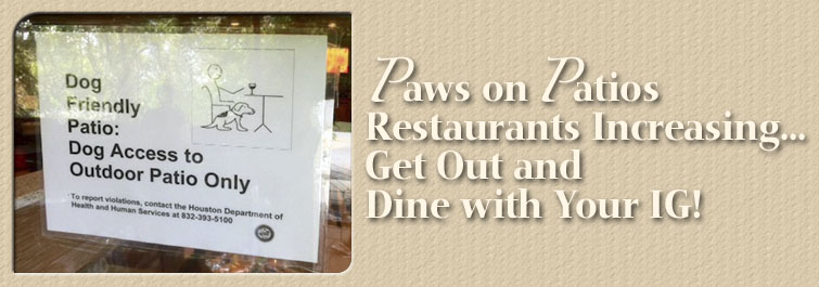 Dine Out with your IG