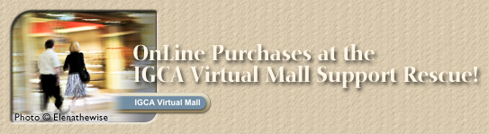 Virtual Mall