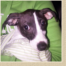 Lost Lucky in Cypress