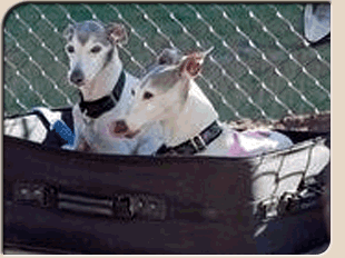 Jack and Jill