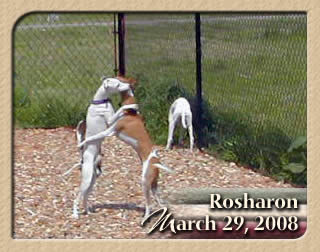 March 2008 PlayDate