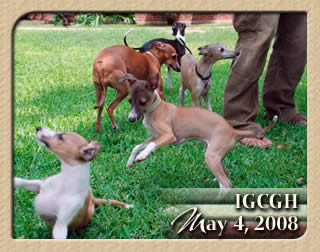 May 2008 PlayDate